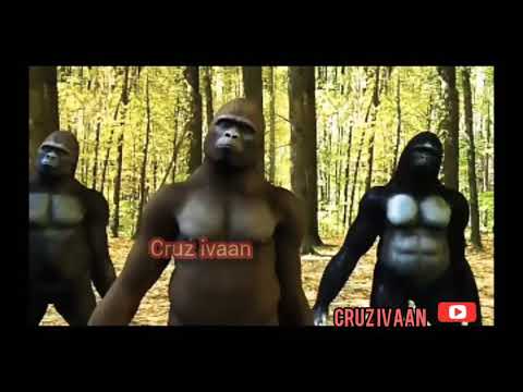 Diamond platnumz-baba Lao official music video (dancing gorrilas)