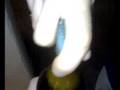 videos de Fastest opening bottle in the world can you beat it??????