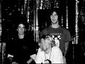 Nirvana - Very Ape Live [ February 22, 1994 ]