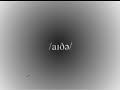 Broad Phonetic Transcription either, either