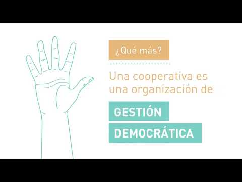¿Qué es una cooperativa de trabajo? item-thumbnail