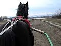 Tr�ningben