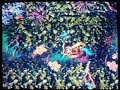 donkey-kong-country-2-diddys-kong-quest-clappers-cavern.html