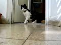 diana plays succer