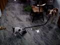 videos de 100_0494.MOV