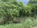 On the road in Africa
