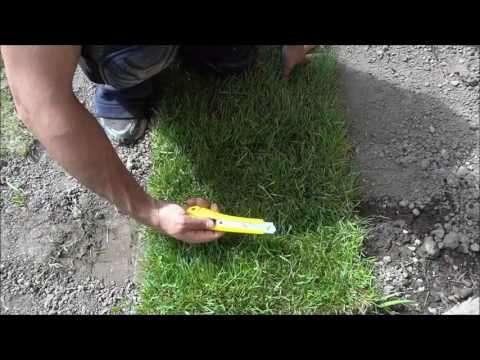 video-linktoworks-How To Cut Sod-Landscaping Tutorial - YouTube