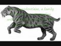 saber-toothed cat