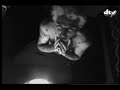 DeWo - Linkin Park - Carousel