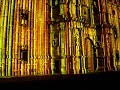 Iluminacion San Luís Potosí Golden Vegetal Cathedral
