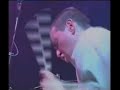 Paul Weller - Sunflower