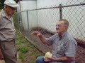 Don Pablo y Don Tono hablando de la vida y su Ninez#6