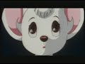 The Real Lion King - Circle of Life