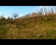 Backi monostor spring 2008 - bitboxvideo