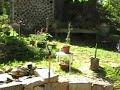 Homestead Update