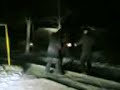 Shymkent Gop Stop Шымкент Гоп Стоп