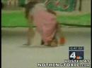Newscasters Lose It During Model Story Newscasters Lose It During Model Story