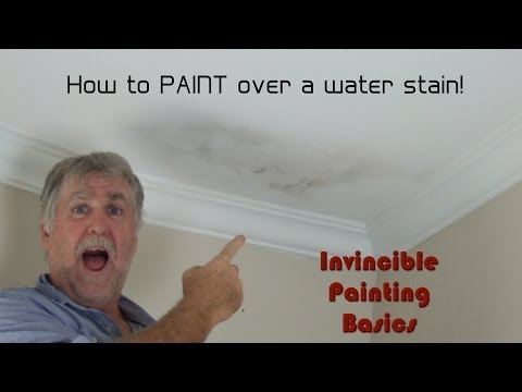 how to paint over a damp patch