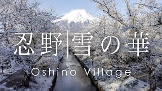 忍野村 新名庄川の雪景色 | Oshino village in early spring