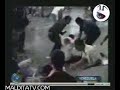 Masacre En Discoteca Venezolana