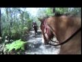 Roadtrip Australia: Van-Tastic New South Wales - Final Documentary