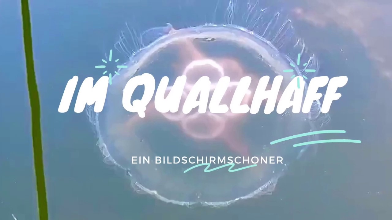 Im Quallhaff (Bildschirmschoner)