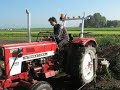 International 383 cultivating. International 383 cultivating.