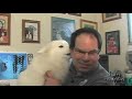 Icenrye's Geocaching Videozine - Episode 29