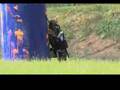 PARADISE PAINTBALL TAIG SHOW