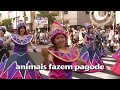 ASAKUSA SAMBA CARNIVAL 2007 - G.R.E.S. UNI�O DOS AMADORES
