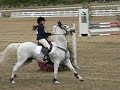2008 Gotland lag SM Calabash