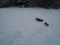 Quinnie Tuck snow-ball.MPG
