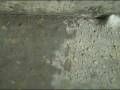 Sealed concrete in Kansas City