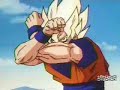 DBZ Goku`s Fight ...