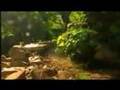 Music of Epirus - Delvina me Camerine