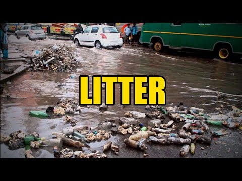 Litter short film Litter short film