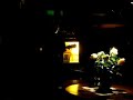 U2 - With Or Without You (cover, live) - Pluski U2 - With Or Without You (cover, live) - Pluski
