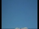 BOSSANOVA, MINITITAN Y VELERO ARCUS