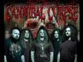 Deathcore,Death Metal Grindcore and Trash Metal Bands
