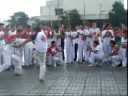 roda oficial  muzenza colombia