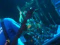 suicidal tendencies - cyco vision