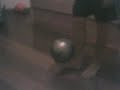 KaYu Joga11
