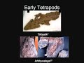 Extant Dodos' Fossil Record