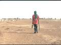 Expanding Deserts Consume Farmland