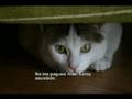 videos de No me cojas no me dejes