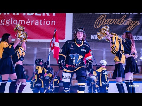 Stepan Nemtyrev game against Trine Univ. (NCAA III)