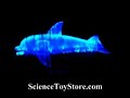 Zen Animatronic Dolphin
