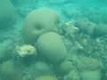 Curacao - Marriott