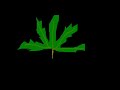 papo sehrio....maconha.....T4C