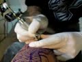 Chinese Dragon, Cherry Blossom Tattoo - first time! Chinese Dragon, Cherry Blossom Tattoo - first time!